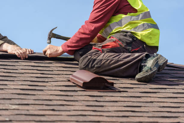Best Sealant for Roof  in Rochester, IL