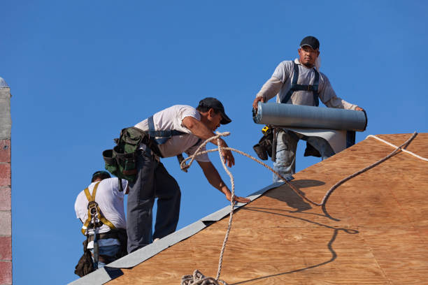 Best Residential Roofing Contractor  in Rochester, IL