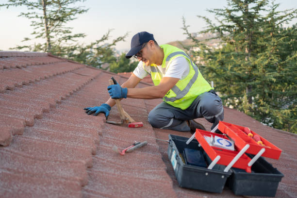 Best Roof Gutter Cleaning  in Rochester, IL
