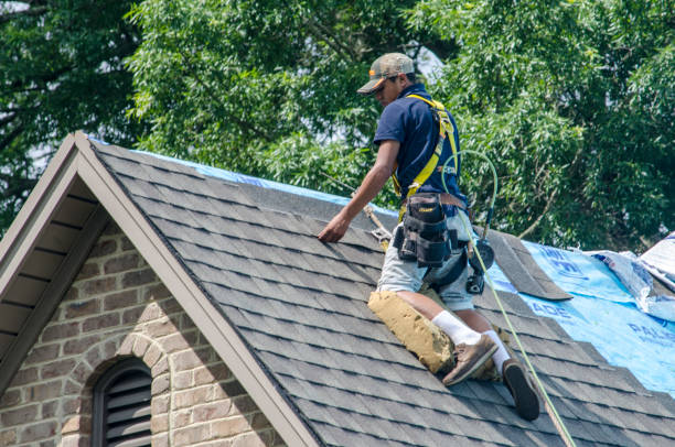 Best Roof Restoration Services  in Rochester, IL